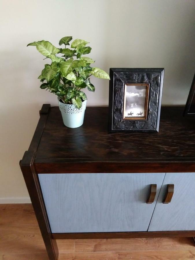 Green View Apartment Wodny Park Tychy I Saunaria Екстер'єр фото